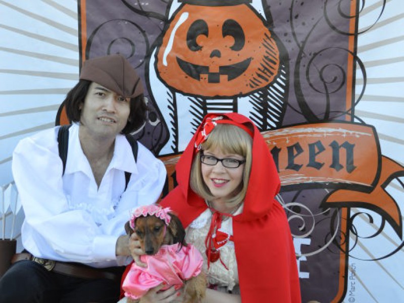 Halloween Dog Parade Charms Crowds Again Belmont Shore, CA Patch