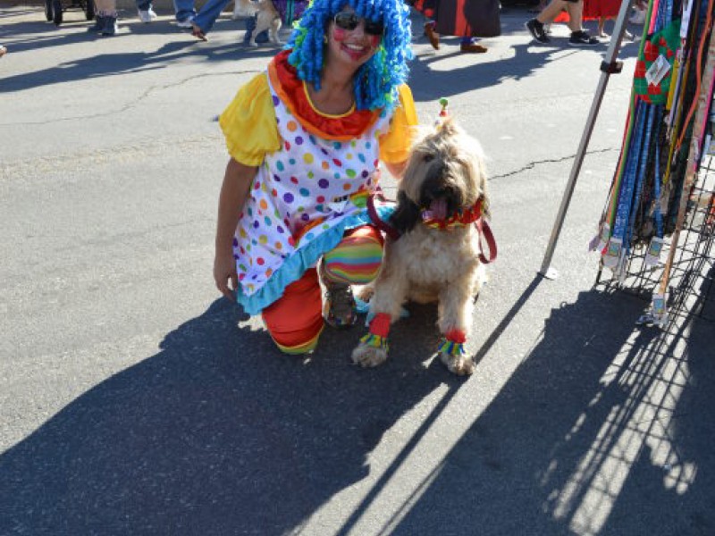 Halloween Dog Parade Charms Crowds Again | Belmont Shore, CA Patch