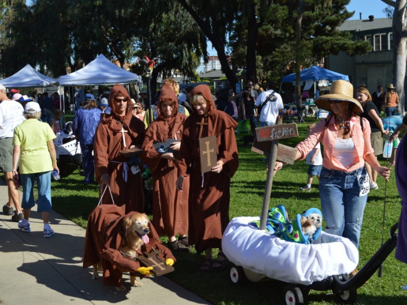 Halloween Dog Parade Charms Crowds Again Belmont Shore, CA Patch