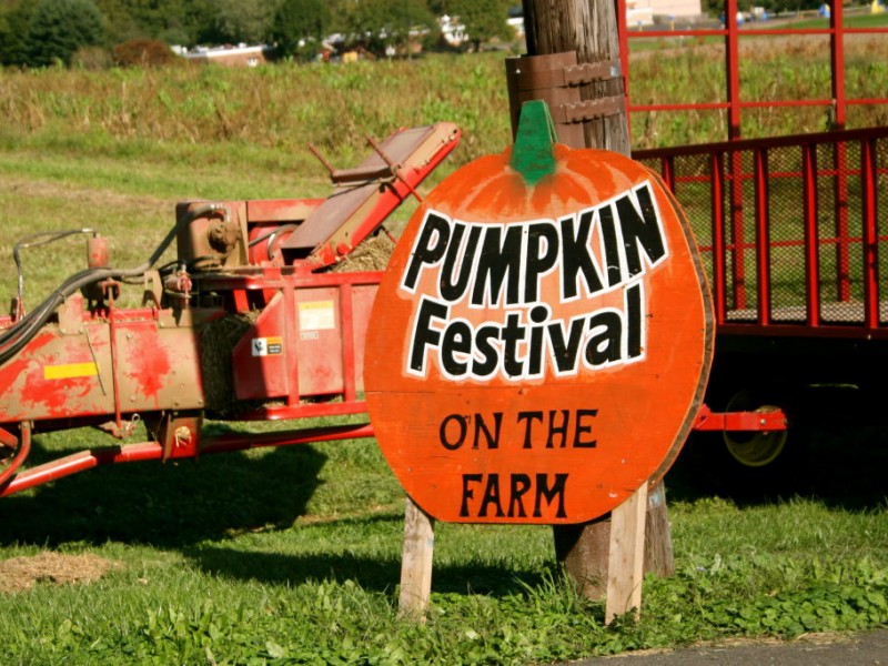 Bucks County Fall Fun Guide Newtown, PA Patch