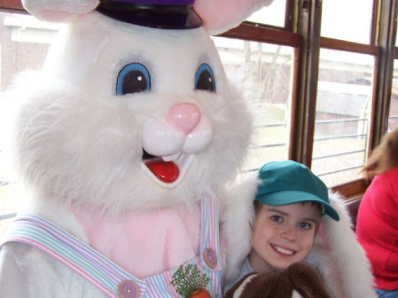 Live Bunnies, Easter Bunny to Visit the Trolley Museum Peters, PA Patch
