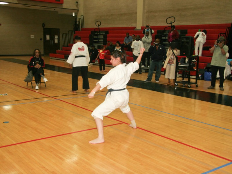 GirlsNGis All Female Martial Arts College Scholarship