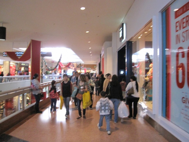 Black Friday Shopping at Westfield Santa Anita Mall 