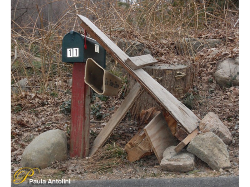 Did Your Mailbox Survive the Snowplow This Year? Creative Solutions for