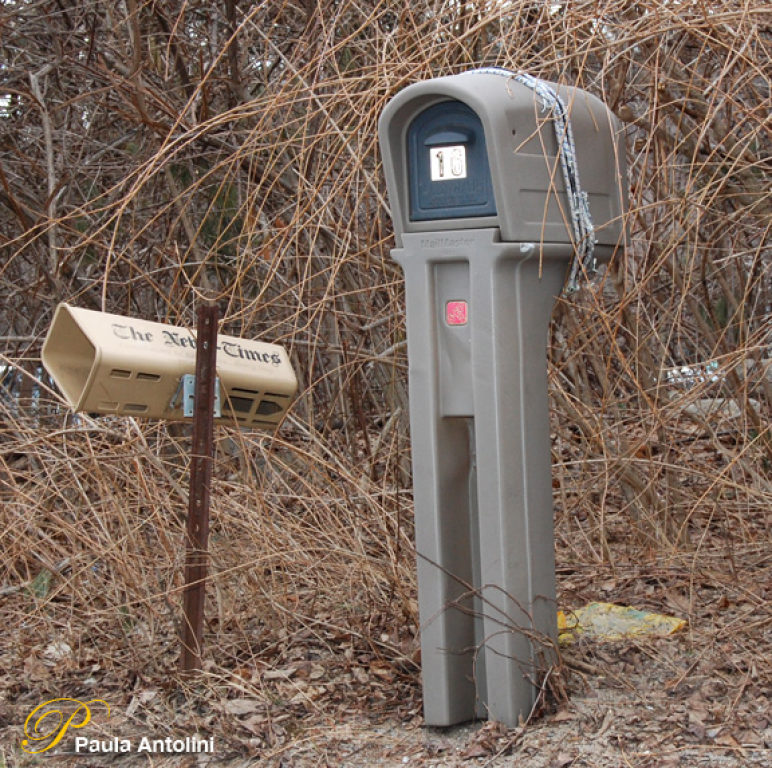 Did Your Mailbox Survive the Snowplow This Year? Creative Solutions for