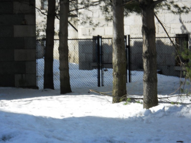 The Ropewalk Charlestown, MA Patch