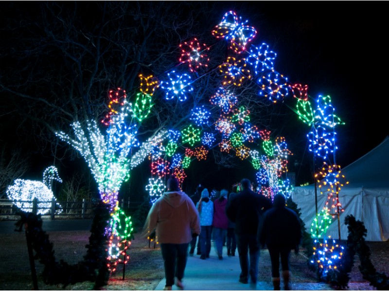 St Louis Zoo Wild Lights Tickets