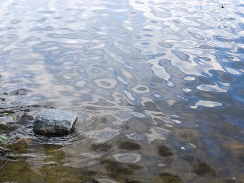 IMAGE GALLERY Haggetts Pond Trail Andover, MA Patch