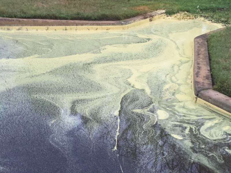 Pollen Season Loganville, GA Patch