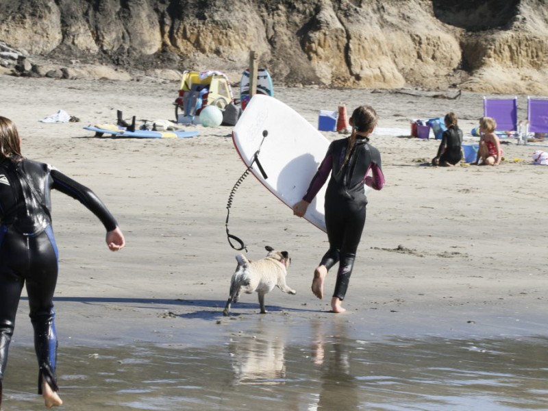 OffLeash Options Are Still Few on Peninsula Beaches Pacifica, CA Patch