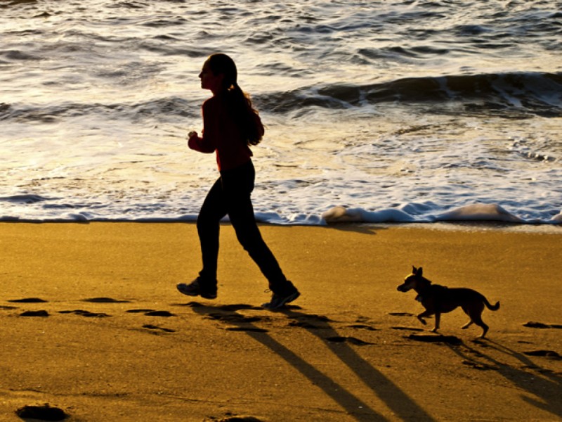 OffLeash Options Are Still Few on Peninsula Beaches Pacifica, CA Patch