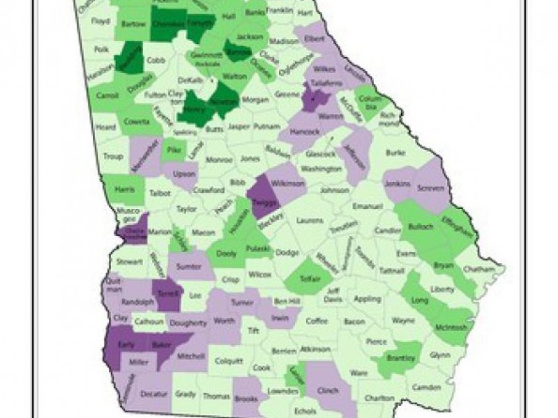 gwinnett-second-largest-county-in-georgia-suwanee-ga-patch