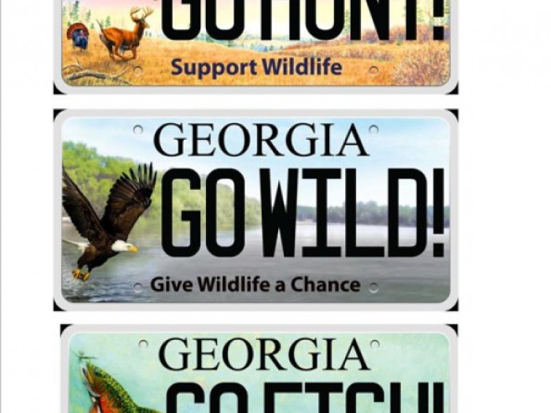 New Wildlife Design Plates Now Available | Buford, GA Patch