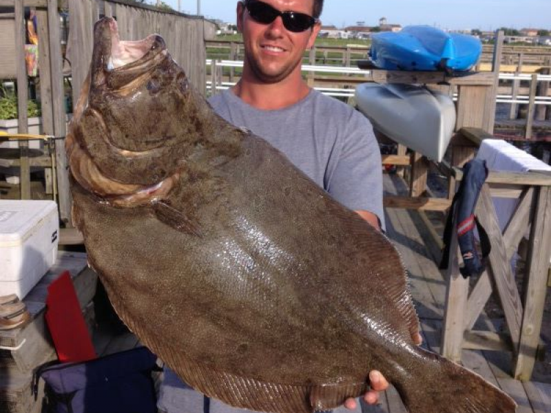 Gigantic Flounder Tops Good Weekend of Fishing Ocean City, NJ Patch