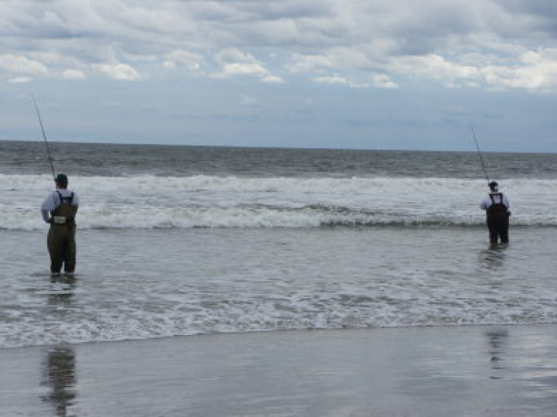 Governor S Fishing Tourney On Tap Sunday At Island Beach State Park Governor S Fishing Tourney On Tap Sunday At Island Beach State Park