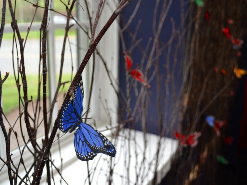 Taste by Spellbound: Making Truffles is 20-Year-Old's Happily Ever