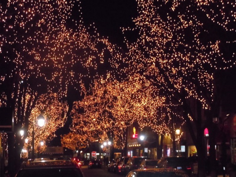 Want to See Christmas Lights? Use Our List to Start Your Local Journey