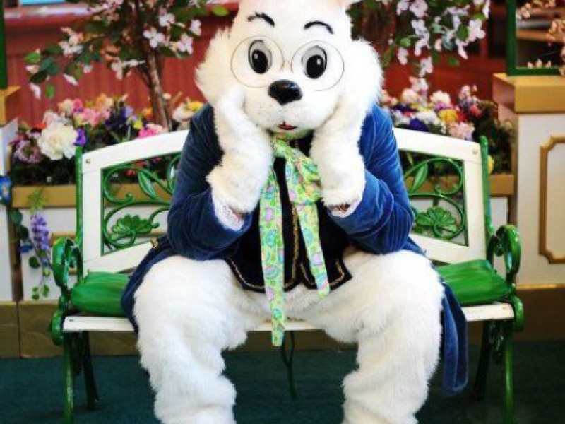 Easter Bunny to Arrive at Lakeside Mall Saturday New Baltimore, MI Patch