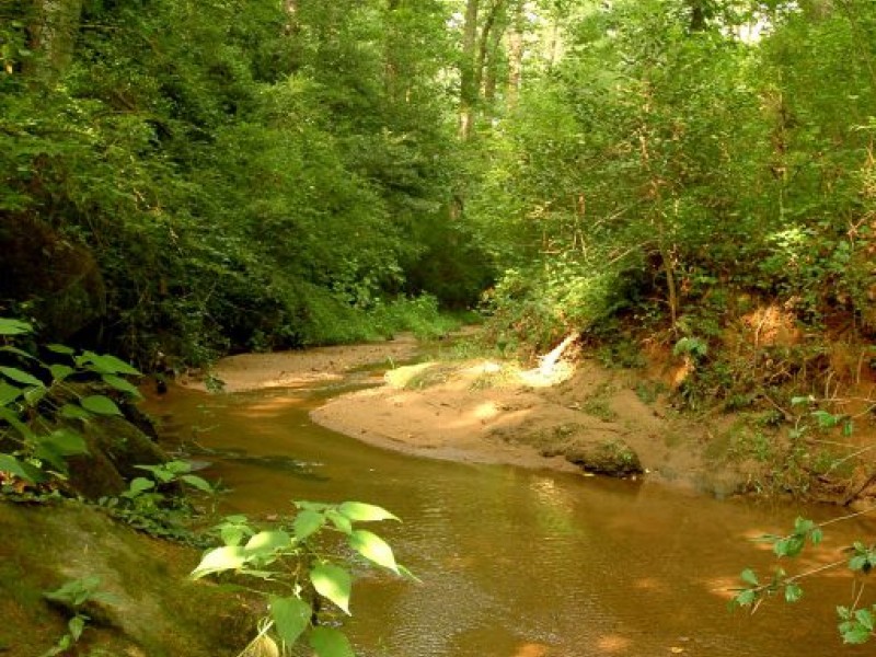 The Nalley Brown Nature Park Easley, SC Patch