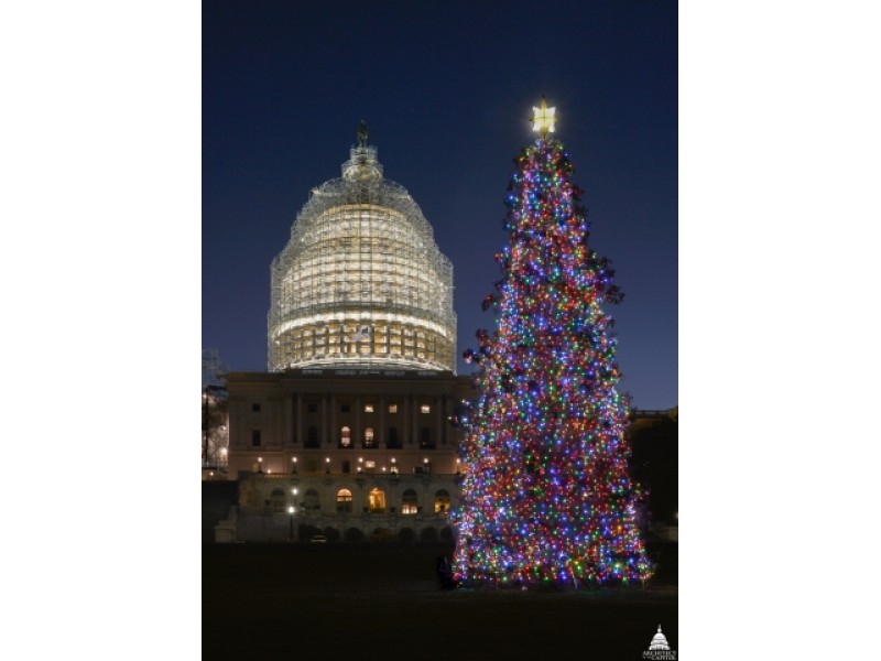 'Moment of Silence' at DC Tree Lighting for Mass Shooting Victims