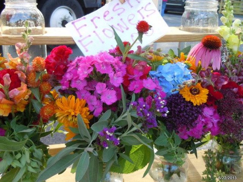 Vienna Farmers Market Opening Soon Vienna, VA Patch