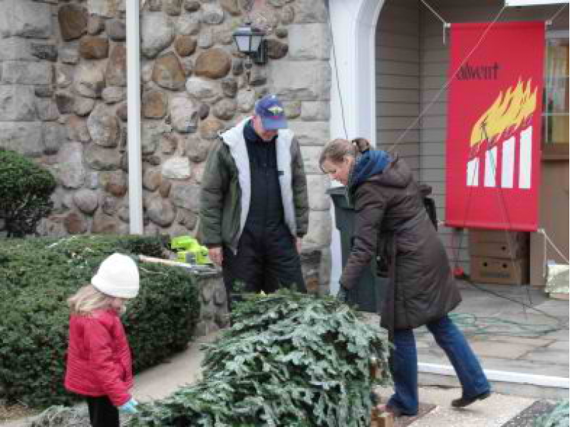 here s where to find the perfect christmas tree here s where to find the perfect christmas tree