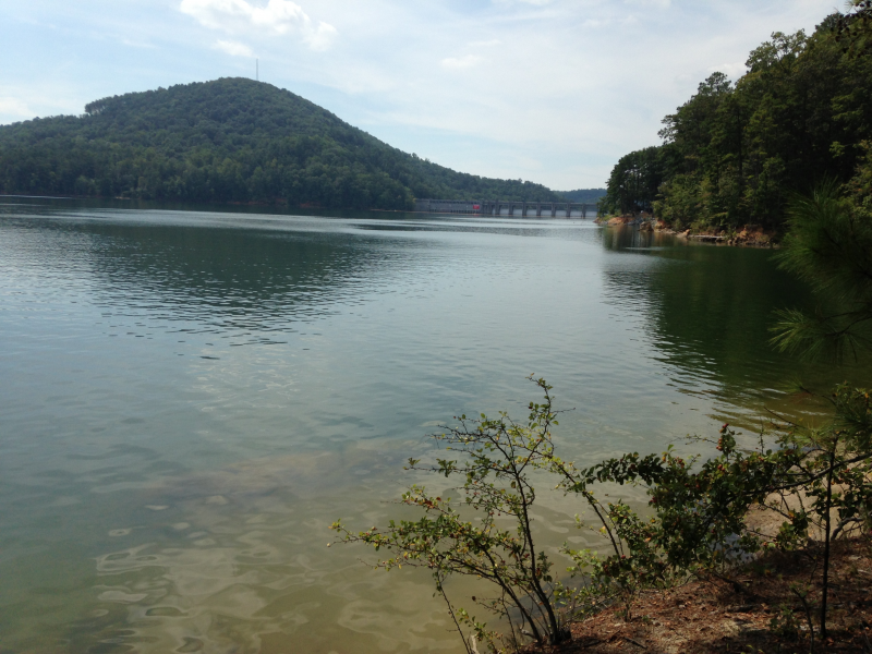 Do You Swim in Lake Allatoona, the Etowah River? Cartersville, GA Patch