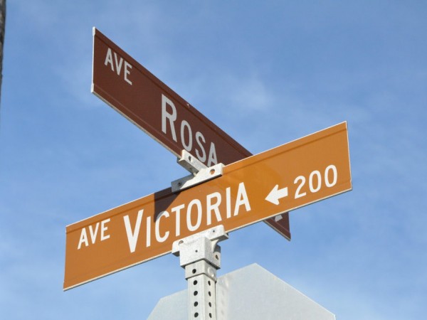 Brick Attack Leaves Man Comatose