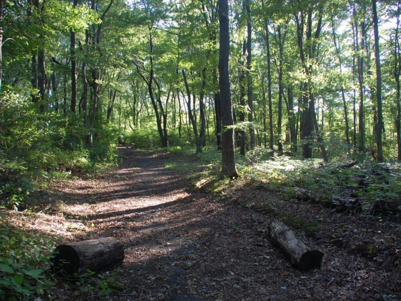 Day Hikes Milford's Beaver Brook Trail West Hartford, CT Patch