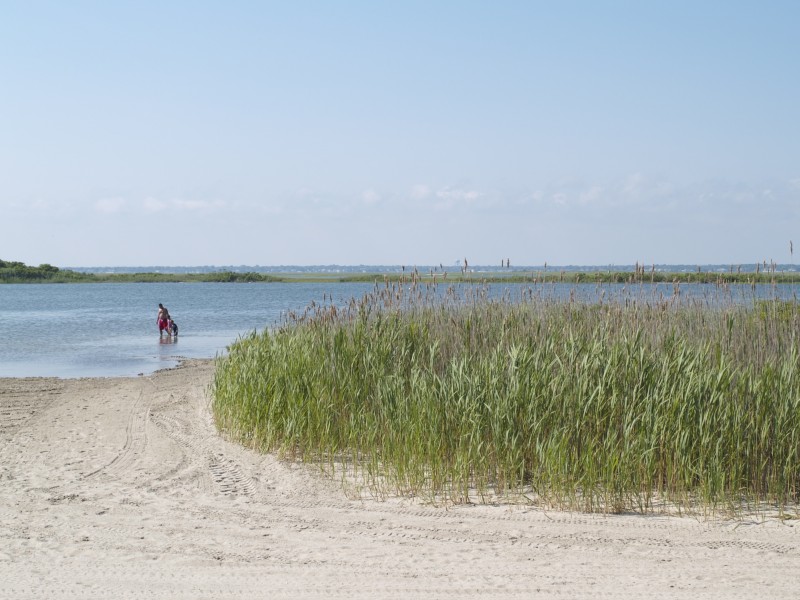Photo Tour Tobay Beach Massapequa, NY Patch