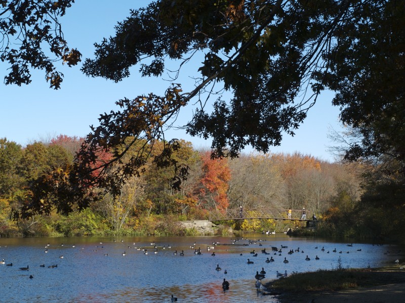 Brady Park Photo Tour Massapequa, NY Patch