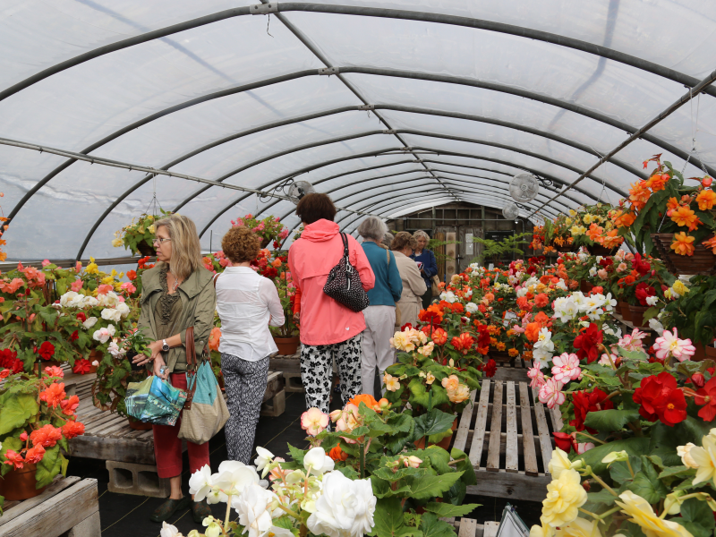 Cherry Brook Garden Club tours White Flower Farm Canton, CT Patch