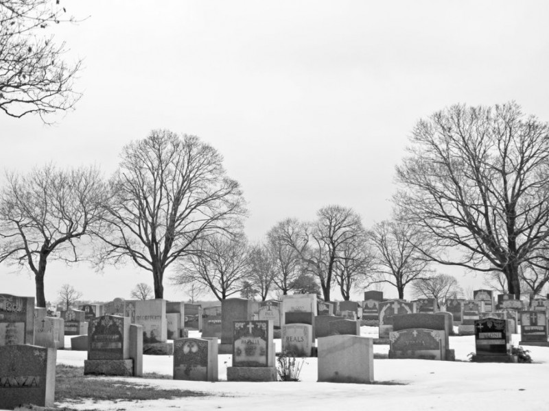 Photos St. Charles Resurrection Cemetery Farmingdale, NY Patch