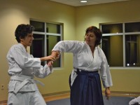 Aikido dunedin