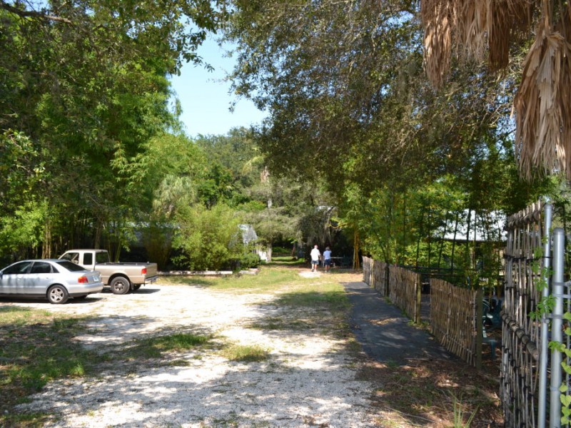 Bamboo Gardens Still Thriving After 20 Years Palm Harbor, FL Patch