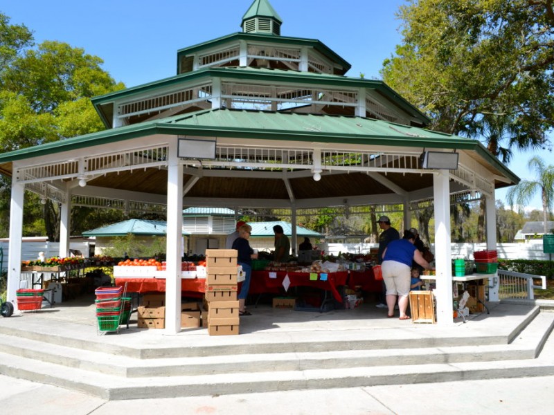 Downtown Farmer's Market One of Safety Harbor's Hidden Gems Safety