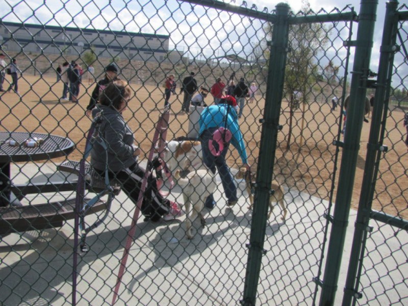 Woof! Dog Park Opens in Murrieta Murrieta, CA Patch