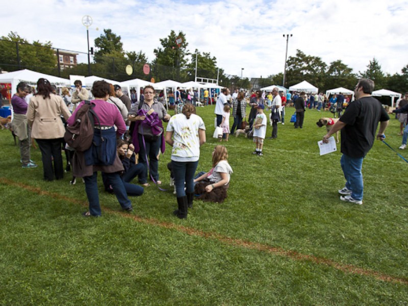 PHOTOS Somerville Dog Festival Somerville, MA Patch