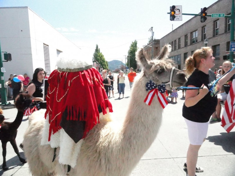Thousands Attend 4th of July Parade in Enumclaw Enumclaw, WA Patch