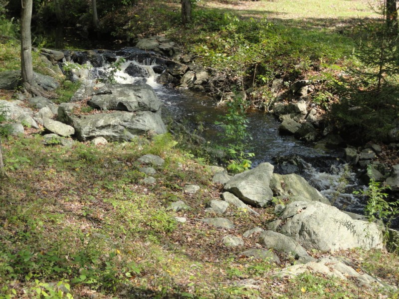 WoodburyMiddlebury Pics & Clips Woodbury, CT Patch