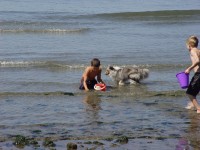 camping spotlight deception pass summer patch