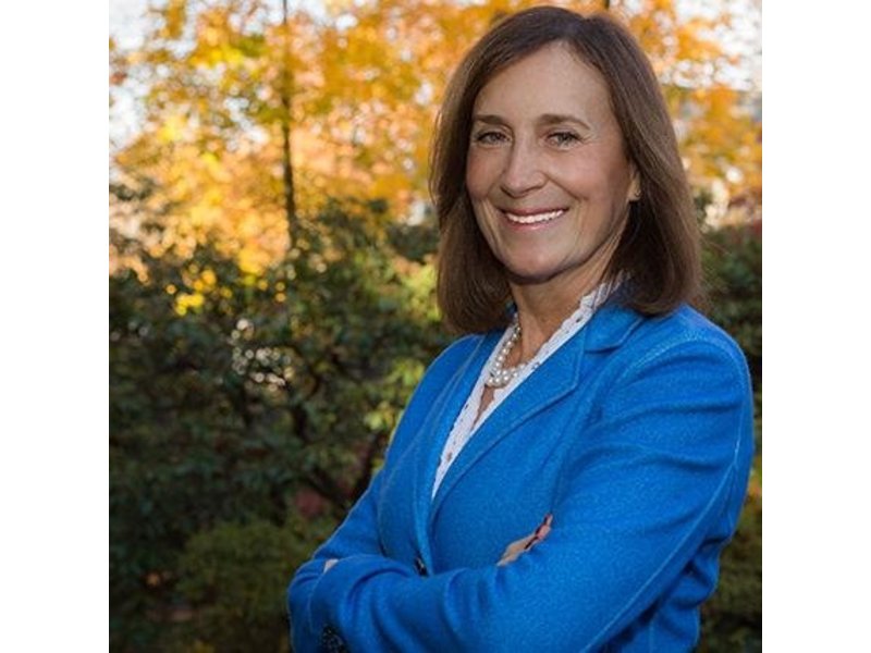 Deborah B. Goldberg Of Brookline Wins Democratic Primary For State ...