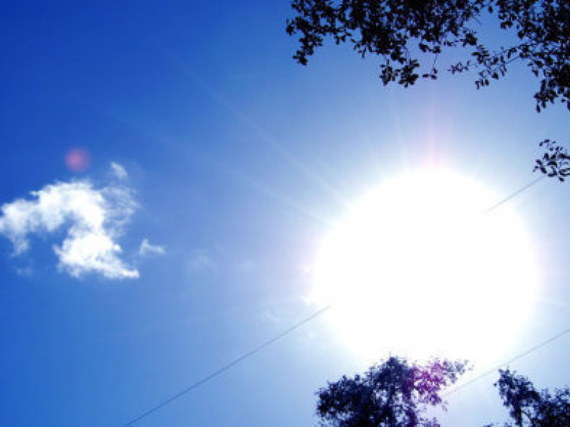 Mostly Sunny Sky Mostly Sunny Sky
